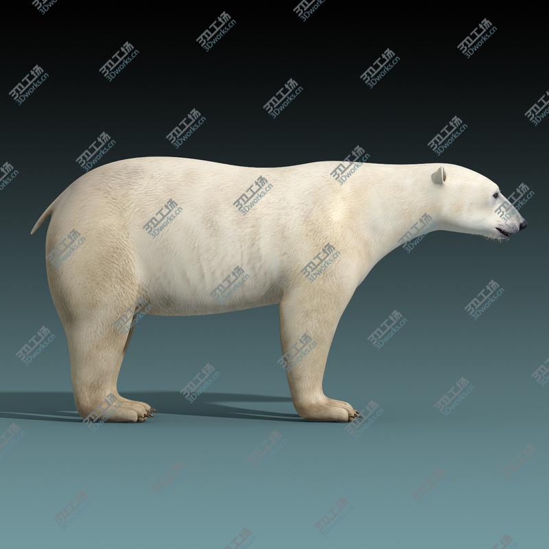 images/goods_img/2021040163/Polar Bear/2.jpg